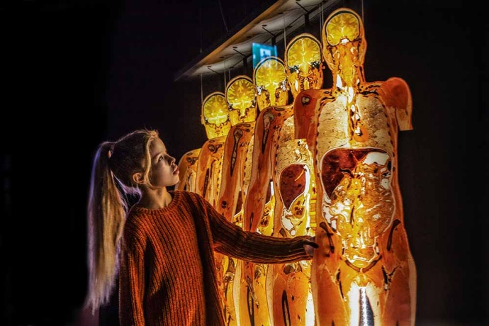 BODY WORLDS kiállítás 2022-ben újra Budapesten! Jegyvásárlás és jegyárak itt!